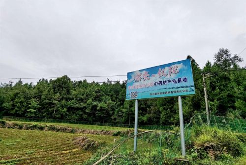 磐安仪陇东西部扶贫协作中药材产业基地。记者沈贞海 摄